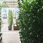 酒店 赫库兰尼姆酒店 埃尔科拉诺