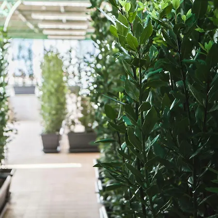 ホテル Herculaneum エルコラーノ